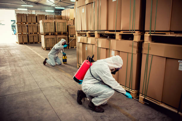 Best Bed Bug Extermination  in Flagtown, NJ