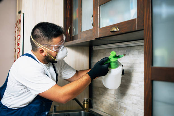 Professional Pest Control in Flagtown, NJ