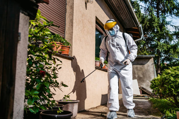 Best Wasp Removal Services  in Flagtown, NJ