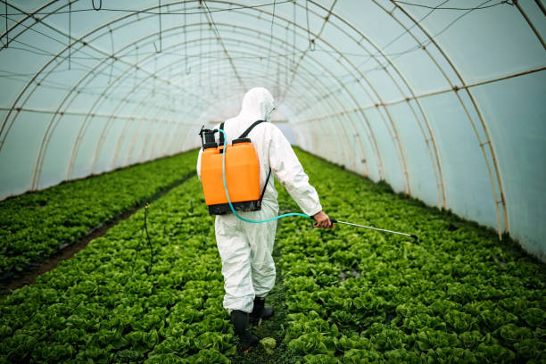 Best Affordable Pest Control Services  in Flagtown, NJ