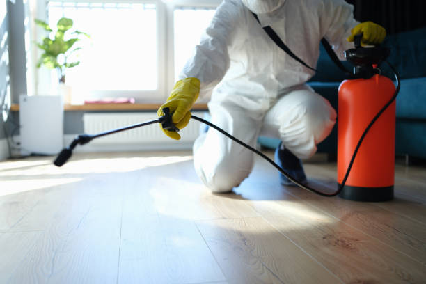 Best Local Pest Control Services  in Flagtown, NJ
