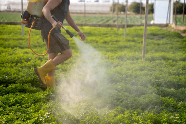 Best Best Pest Control Companies  in Flagtown, NJ