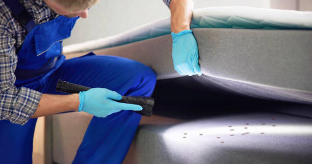 Best Local Pest Control Services  in Flagtown, NJ