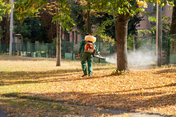 Wasp Removal Services in Flagtown, NJ