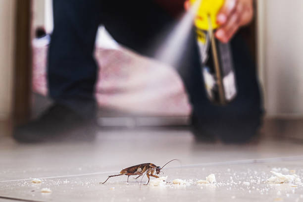 Best Pest Control Near Me in Flagtown, NJ